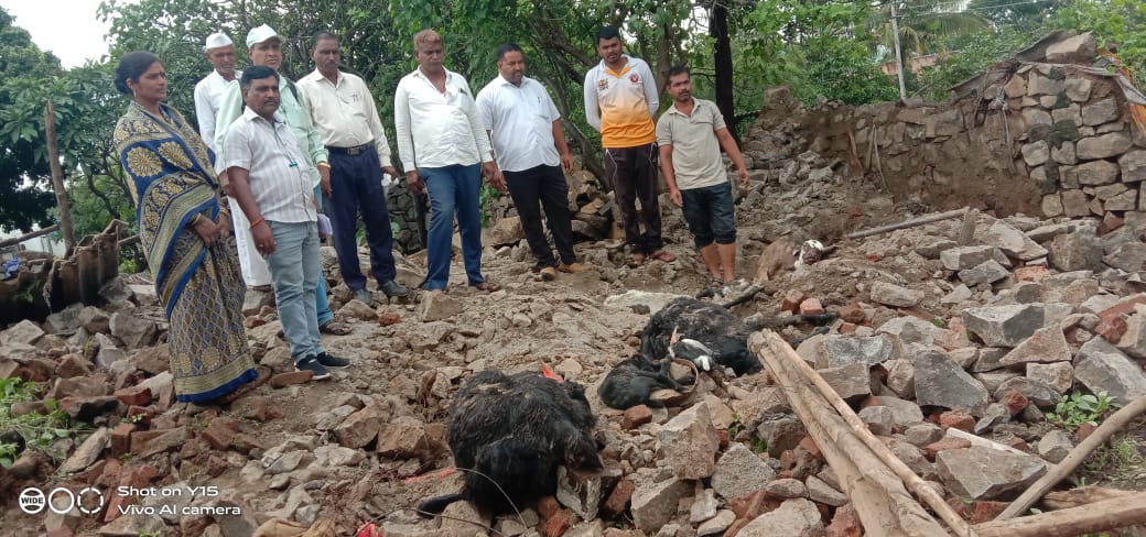 पुरंदर तालुक्यातील “या” गावात प्रशासनाचा गलथान कारभार उघड ; गायगोठा मंजुर असुनही न सांगीतल्याने अवकाळी पावसाने गायी व शेळ्यांचा जागेवरच मृत्यु,सुमारे तीन ते चार लाखांचे नुकसान