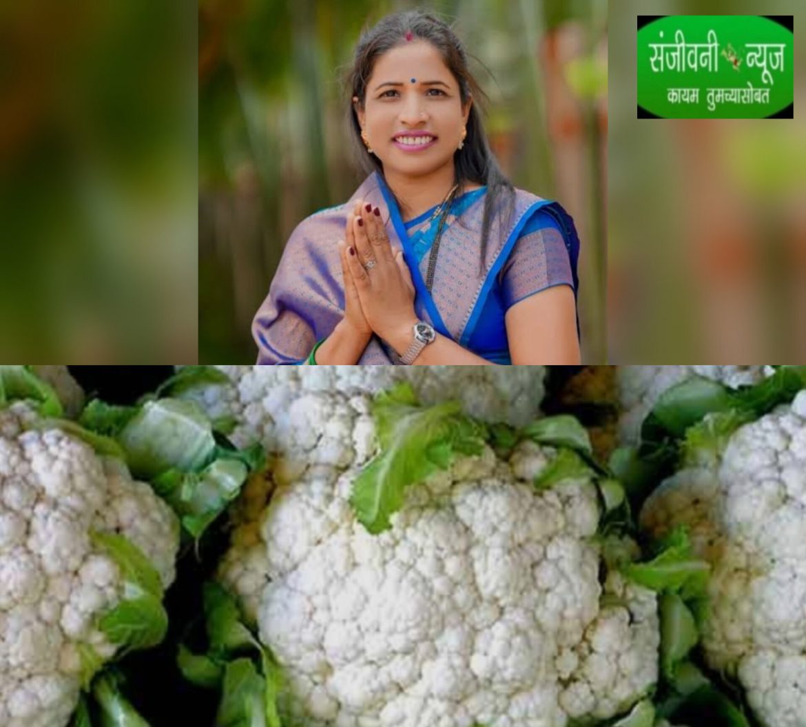 पुणे जिल्ह्यातील “या” गावच्या महिला सरपंचांची कमाल!!!                पहिल्या तोड्यातच सव्वापाच लाख रुपयांचे उत्पन्न;बाजारभावाने साथ दिल्यास मिळणार तीस लाखाचे उत्पन्न